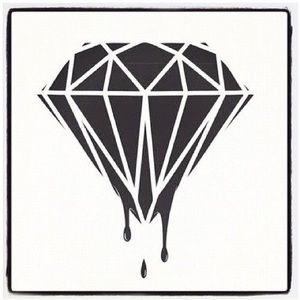 Meet your Posher, Evan